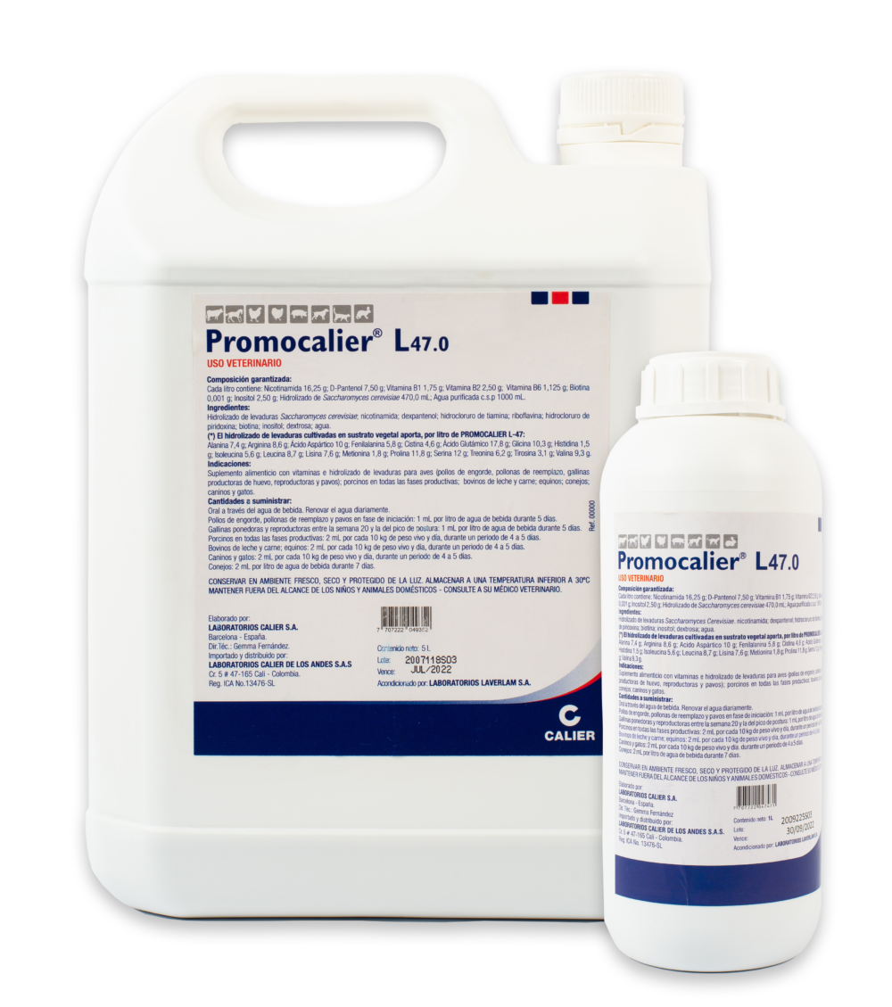 PROMOCALIER