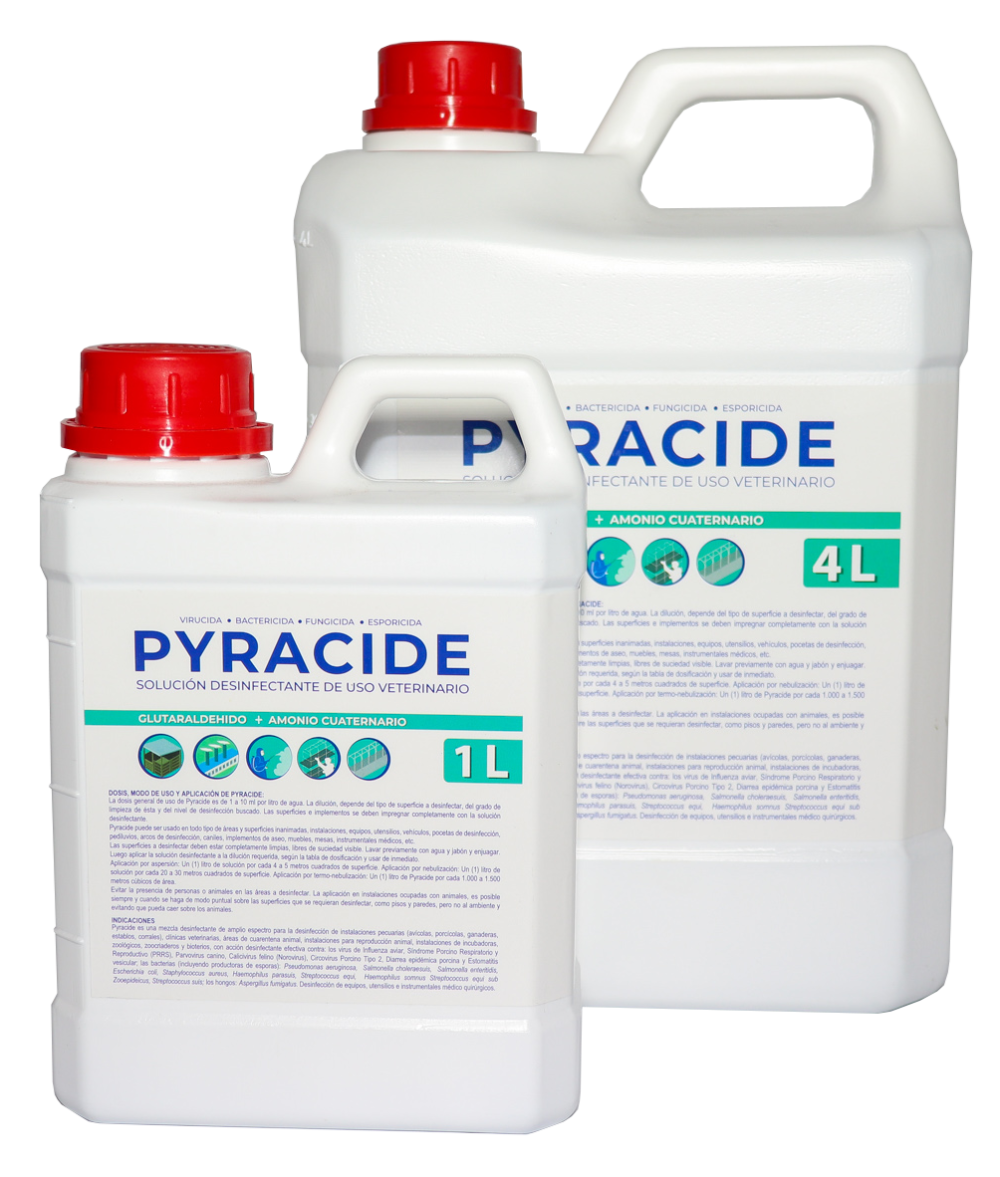 PYRACIDE