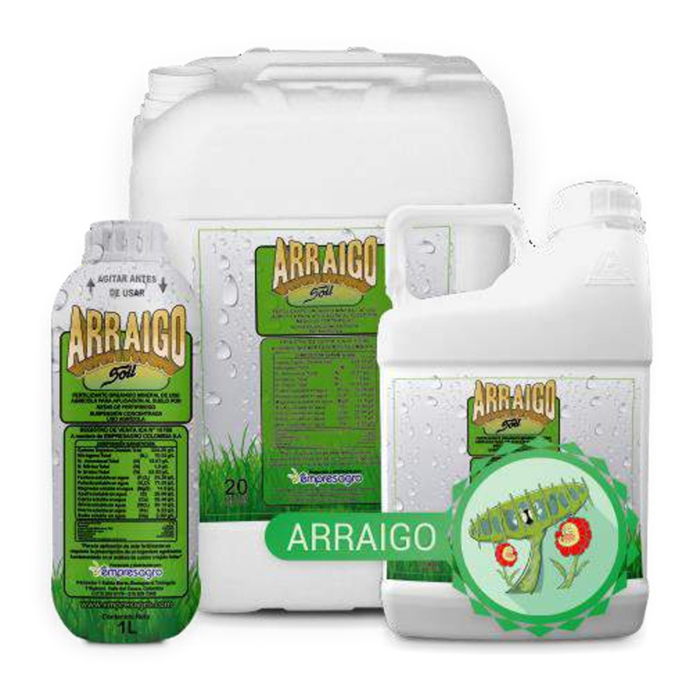 ARRAIGO