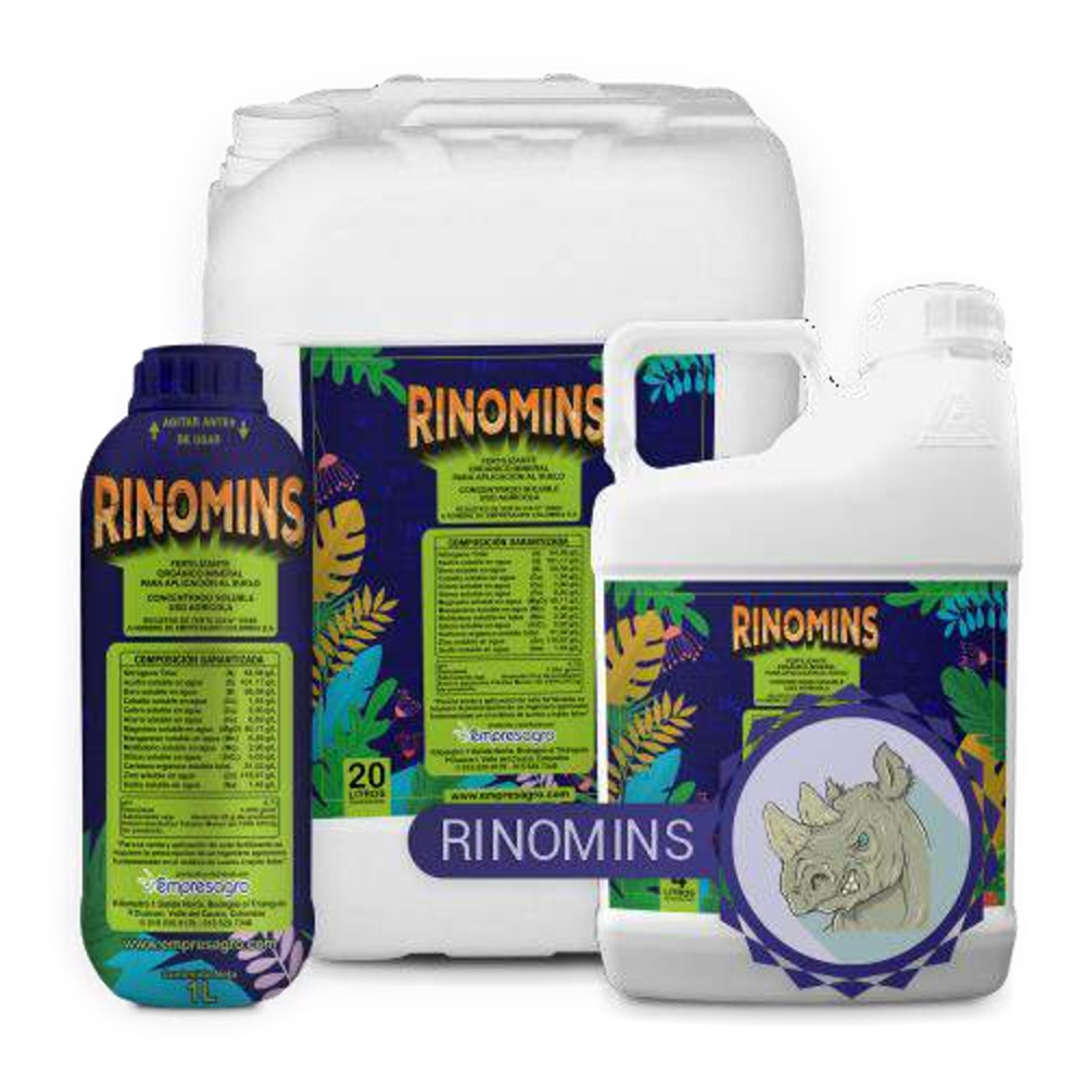 RINOMINS